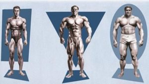 tipuri-somatice-ectomorf