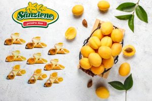 Cornuleţe Sânziene