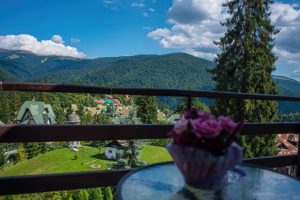oferte Craciun 2023
